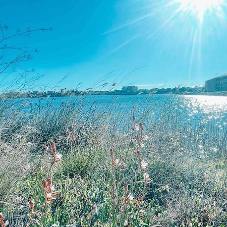 La Casita ,Appartement Face A L'Etang Le Barcarès Buitenkant foto