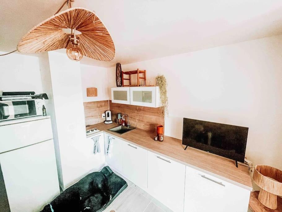 La Casita ,Appartement Face A L'Etang Le Barcarès Buitenkant foto