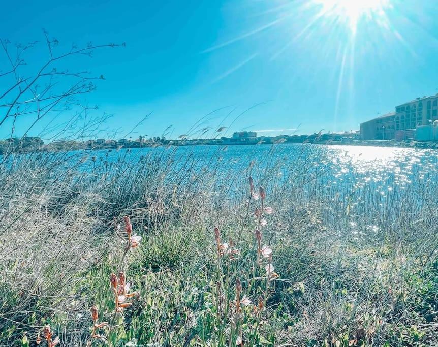 La Casita ,Appartement Face A L'Etang Le Barcarès Buitenkant foto